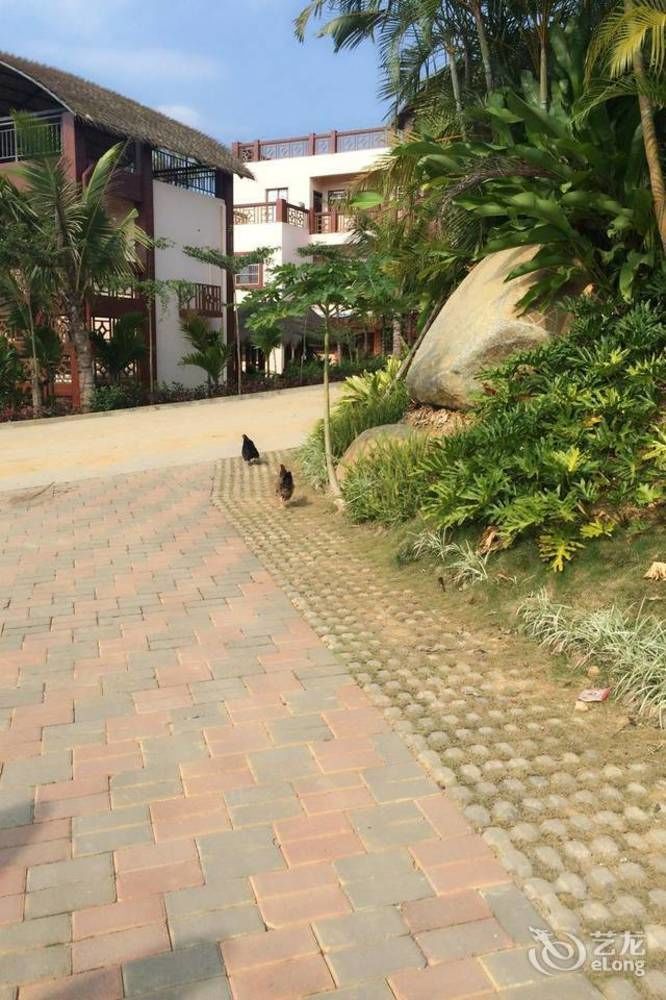 Hainan Bulongsai Resort Hotel Баоцинь Экстерьер фото