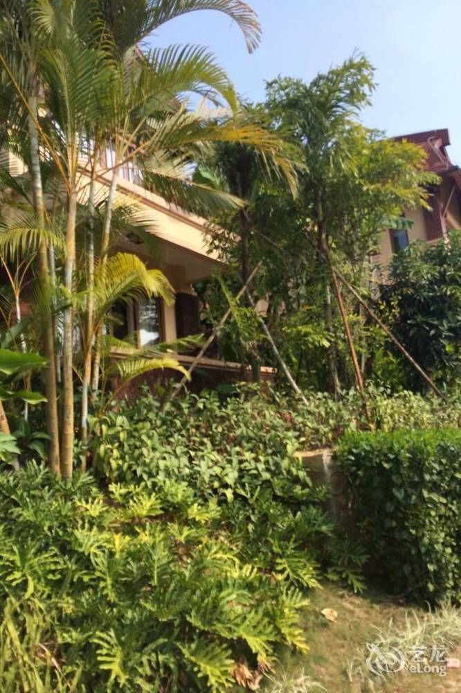 Hainan Bulongsai Resort Hotel Баоцинь Экстерьер фото